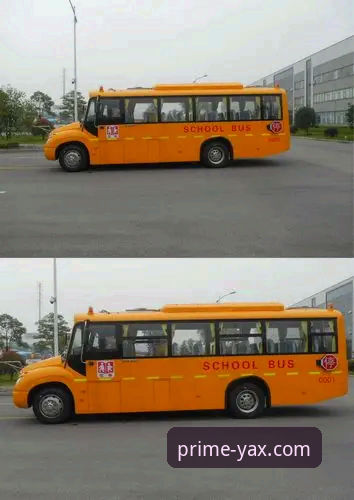 解决亚星客车校车下载难题的实用指南