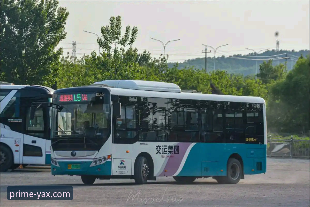 亚星娱乐平台最新动态：扬州亚星客车股份有限公司必备服务指南全面升级